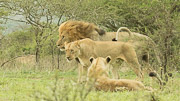 On the Move