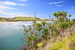 Eastern Cape