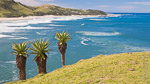 Eastern Cape