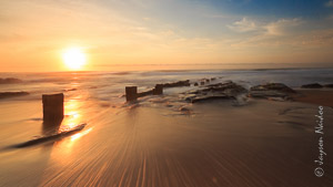 Seascapes