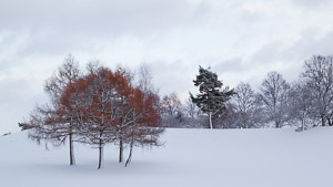 Munich, Germany